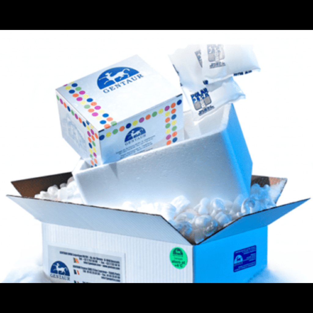 Hieff Trans® PEI Transfection Reagent-GMP-10 mL