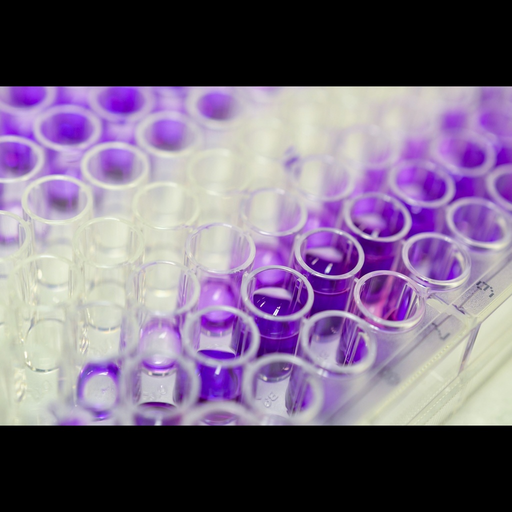 Canine Hyaluronic Acid ELISA kit