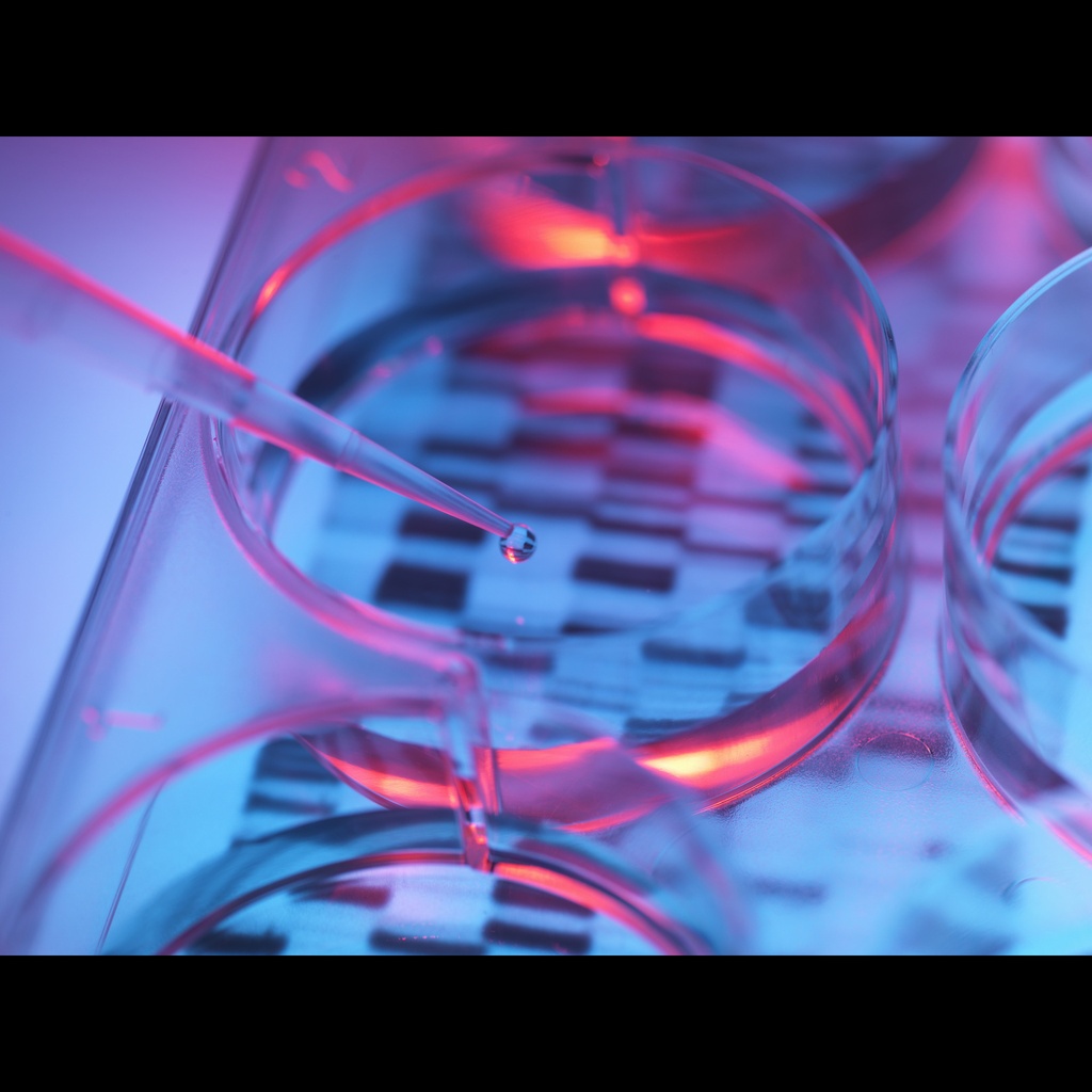 1kb Plus Optisize:DNA Marker, 500 μl/100 loads