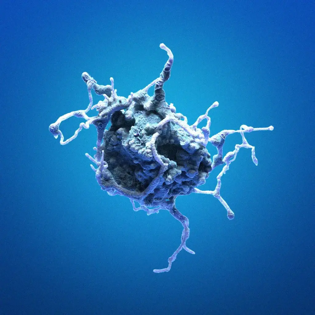 [GEN301572-MA] HK-2xCRISPR-CAP-D2-mEGFP Cells