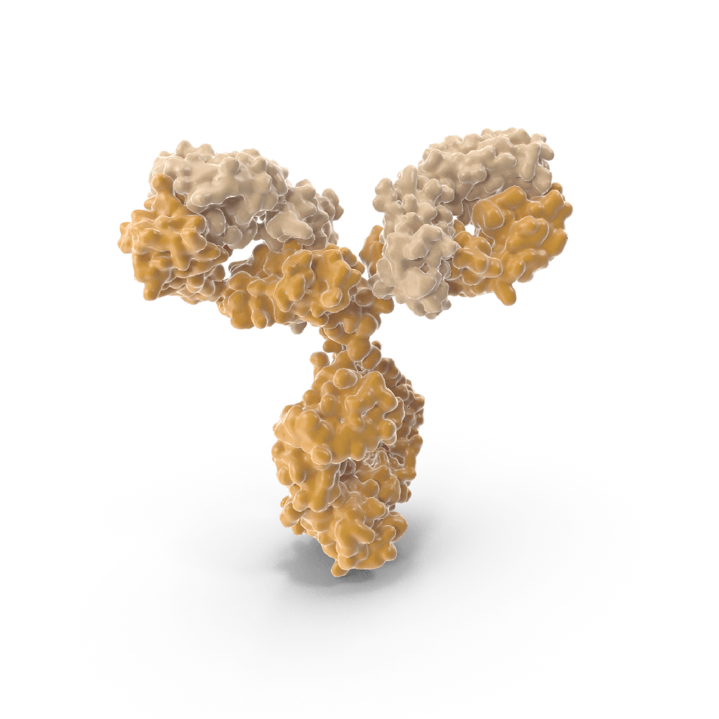 Mouse antisize:Human CD4 Monoclonal Antibody, 0.1 mg