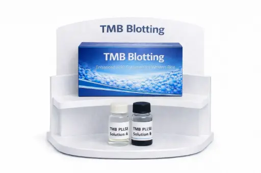 [4450L] TMB Blotting